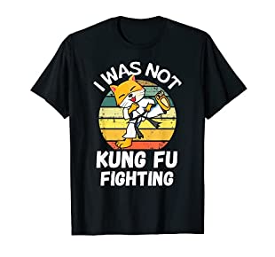 Funny T-shirt Kung Fu Cat